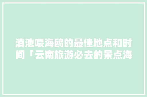 滇池喂海鸥的最佳地点和时间「云南旅游必去的景点海鸥」 滇池喂海鸥的最佳地点和时间「云南旅游必去的景点海鸥」 时尚穿搭