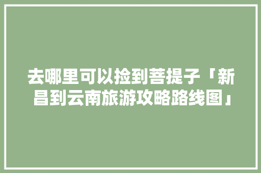 去哪里可以捡到菩提子「新昌到云南旅游攻略路线图」 健康母婴