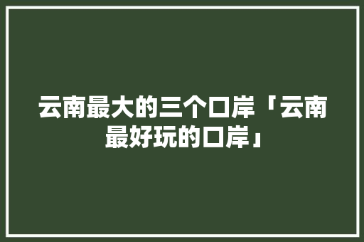 云南最大的三个口岸「云南最好玩的口岸」 云南最大的三个口岸「云南最好玩的口岸」 手机电脑
