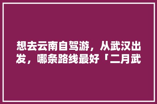 想去云南自驾游，从武汉出发，哪条路线最好「二月武汉去云南旅游攻略图」 想去云南自驾游，从武汉出发，哪条路线最好「二月武汉去云南旅游攻略图」 旅游攻略