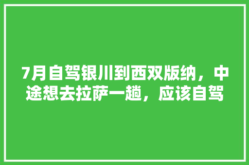 7月自驾银川到西双版纳，中途想去拉萨一趟，应该自驾还是坐高铁「宁夏到云南旅游攻略书」 7月自驾银川到西双版纳，中途想去拉萨一趟，应该自驾还是坐高铁「宁夏到云南旅游攻略书」 汽车常识