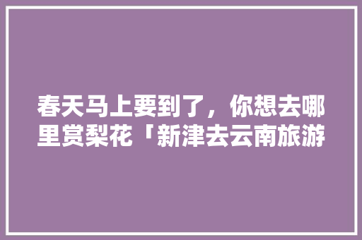春天马上要到了，你想去哪里赏梨花「新津去云南旅游攻略路线图」 春天马上要到了，你想去哪里赏梨花「新津去云南旅游攻略路线图」 手机电脑