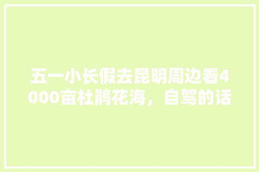 五一小长假去昆明周边看4000亩杜鹃花海，自驾的话怎么去「云南旅游百亩花海攻略图」 五一小长假去昆明周边看4000亩杜鹃花海，自驾的话怎么去「云南旅游百亩花海攻略图」 健康母婴