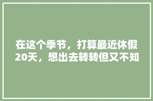 在这个季节，打算最近休假20天，想出去转转但又不知去哪，自驾游一人一车，有什么好建议「中卫去云南旅游攻略路线」 在这个季节，打算最近休假20天，想出去转转但又不知去哪，自驾游一人一车，有什么好建议「中卫去云南旅游攻略路线」 旅游攻略