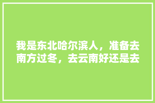 我是东北哈尔滨人，准备去南方过冬，去云南好还是去海南好「东北去云南旅游攻略费用多少钱」 我是东北哈尔滨人，准备去南方过冬，去云南好还是去海南好「东北去云南旅游攻略费用多少钱」 教育法律