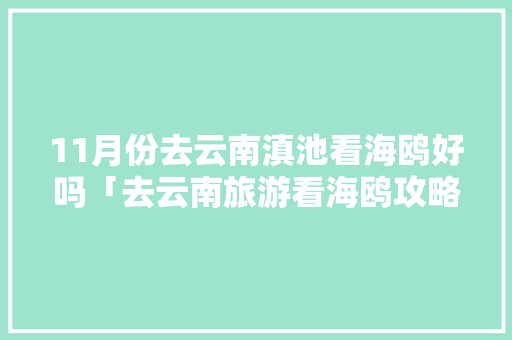 11月份去云南滇池看海鸥好吗「去云南旅游看海鸥攻略图」 11月份去云南滇池看海鸥好吗「去云南旅游看海鸥攻略图」 健康母婴
