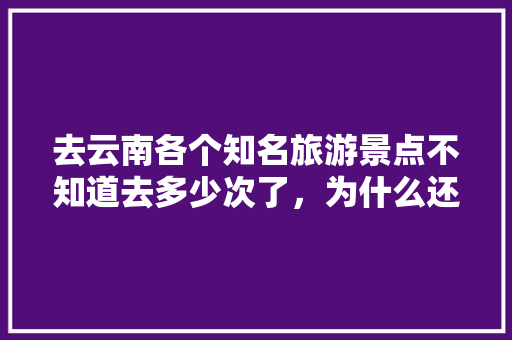 去云南各个知名旅游景点不知道去多少次了，为什么还是想去「云南旅游攻略 知乎网红推荐」 去云南各个知名旅游景点不知道去多少次了，为什么还是想去「云南旅游攻略 知乎网红推荐」 健康母婴