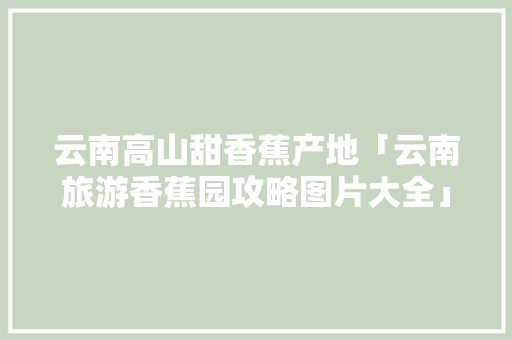 云南高山甜香蕉产地「云南旅游香蕉园攻略图片大全」 云南高山甜香蕉产地「云南旅游香蕉园攻略图片大全」 美食菜谱