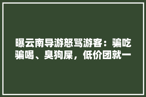 曝云南导游怒骂游客：骗吃骗喝、臭狗屎，低价团就一定要消费购物吗「云南旅游骗吃骗喝攻略视频」 曝云南导游怒骂游客：骗吃骗喝、臭狗屎，低价团就一定要消费购物吗「云南旅游骗吃骗喝攻略视频」 手机电脑