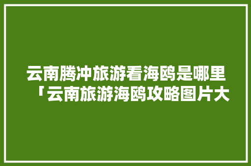云南腾冲旅游看海鸥是哪里「云南旅游海鸥攻略图片大全」 云南腾冲旅游看海鸥是哪里「云南旅游海鸥攻略图片大全」 手机电脑