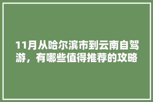 11月从哈尔滨市到云南自驾游，有哪些值得推荐的攻略「哈尔滨到云南旅游线路」 11月从哈尔滨市到云南自驾游，有哪些值得推荐的攻略「哈尔滨到云南旅游线路」 汽车常识