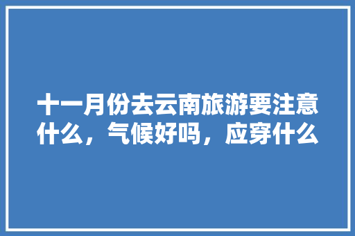 十一月份去云南旅游要注意什么，气候好吗，应穿什么衣服去好些？谢谢「云南旅游攻略10-11月份天气查询」 十一月份去云南旅游要注意什么，气候好吗，应穿什么衣服去好些？谢谢「云南旅游攻略10-11月份天气查询」 旅游攻略
