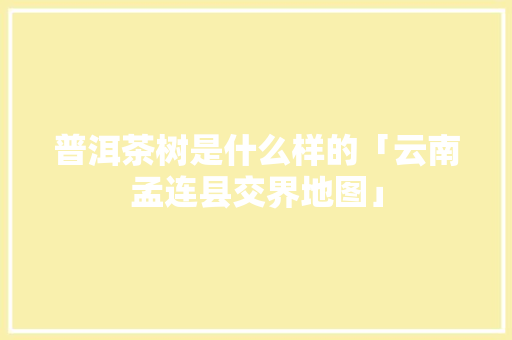 普洱茶树是什么样的「云南孟连县交界地图」 普洱茶树是什么样的「云南孟连县交界地图」 美食菜谱