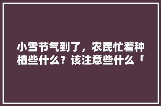 小雪节气到了，农民忙着种植些什么？该注意些什么「云南旅游小齐」 小雪节气到了，农民忙着种植些什么？该注意些什么「云南旅游小齐」 美食菜谱