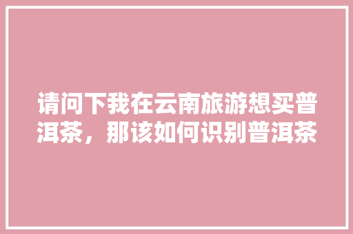 请问下我在云南旅游想买普洱茶，那该如何识别普洱茶的真假「在云南旅游买普洱茶攻略视频」 请问下我在云南旅游想买普洱茶，那该如何识别普洱茶的真假「在云南旅游买普洱茶攻略视频」 手机电脑