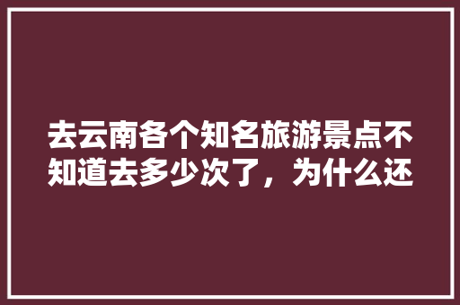 去云南各个知名旅游景点不知道去多少次了，为什么还是想去「2020超实用的云南旅游攻略」 去云南各个知名旅游景点不知道去多少次了，为什么还是想去「2020超实用的云南旅游攻略」 美食菜谱