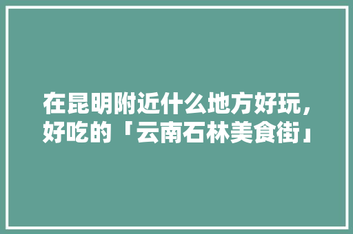 在昆明附近什么地方好玩，好吃的「云南石林美食街」 在昆明附近什么地方好玩，好吃的「云南石林美食街」 旅游攻略