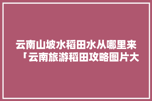 云南山坡水稻田水从哪里来「云南旅游稻田攻略图片大全」 云南山坡水稻田水从哪里来「云南旅游稻田攻略图片大全」 旅游攻略