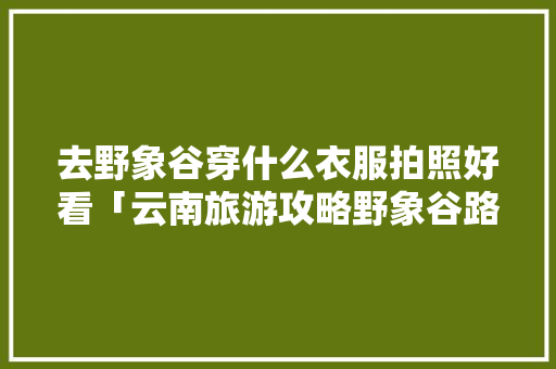 去野象谷穿什么衣服拍照好看「云南旅游攻略野象谷路线」 去野象谷穿什么衣服拍照好看「云南旅游攻略野象谷路线」 教育法律