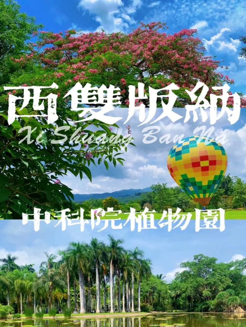 中科植物园和热带雨林哪个值得去「云南旅游攻略中科植物园」 美食菜谱 中科植物园和热带雨林哪个值得去「云南旅游攻略中科植物园」 中科植物园和热带雨林哪个值得去「云南旅游攻略中科植物园」 美食菜谱