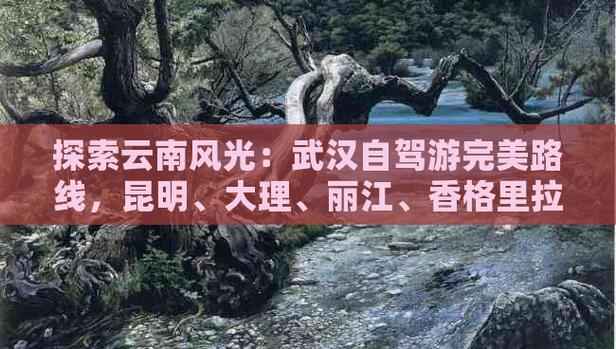 从武汉自驾去西双版纳,求攻略「武汉自驾到云南旅游攻略路线」 旅游攻略 从武汉自驾去西双版纳,求攻略「武汉自驾到云南旅游攻略路线」 从武汉自驾去西双版纳,求攻略「武汉自驾到云南旅游攻略路线」 旅游攻略