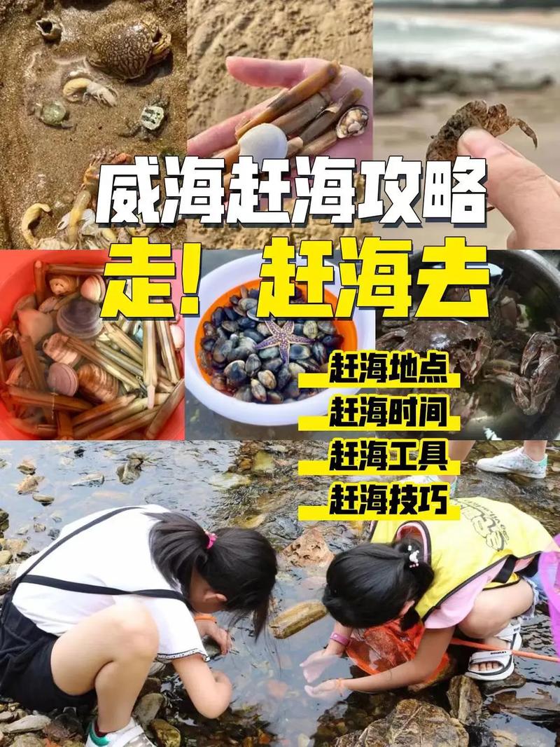 六月份海边赶海哪里比较好玩「赶海攻略云南旅游景点」 手机电脑 六月份海边赶海哪里比较好玩「赶海攻略云南旅游景点」 六月份海边赶海哪里比较好玩「赶海攻略云南旅游景点」 手机电脑