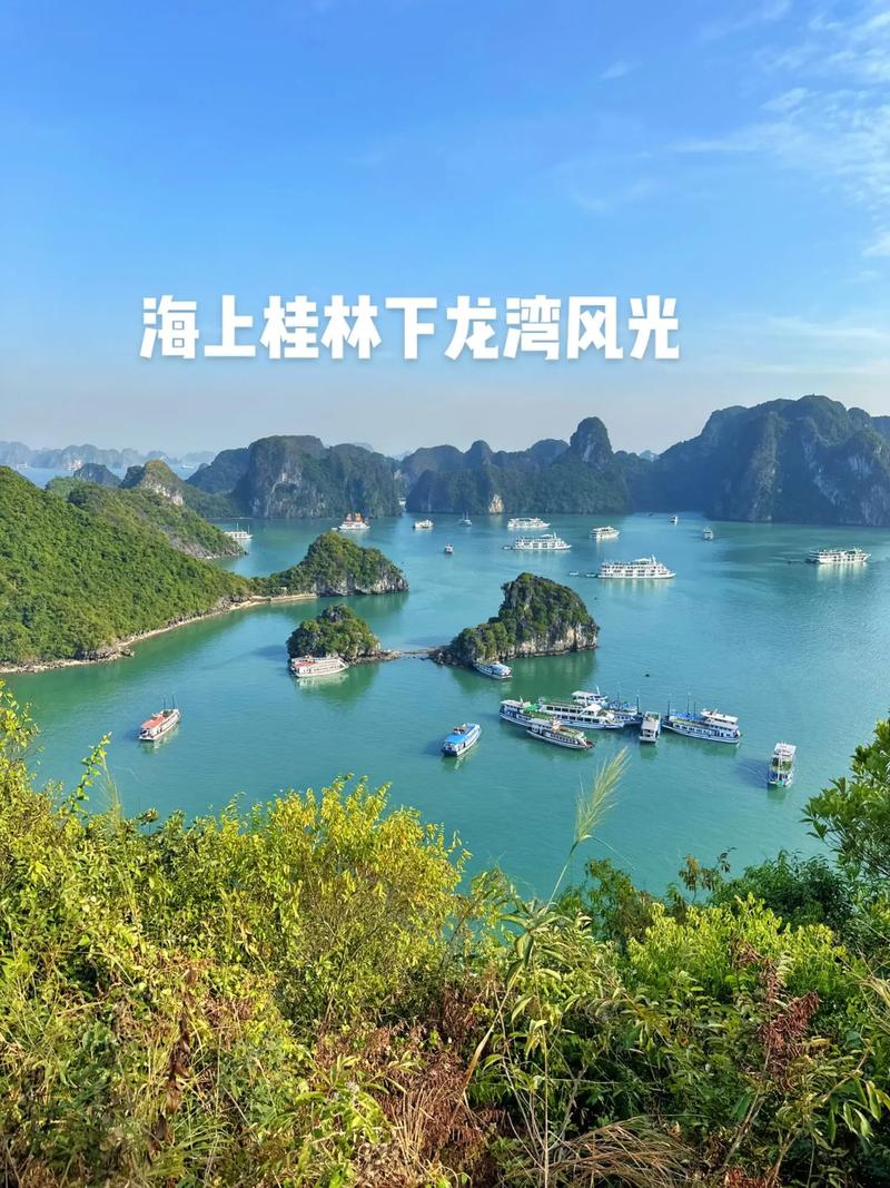 大家觉得桂林漓江和越南下龙湾(俗称海上桂林)各有什么特色「云南旅游攻略海中公路路线」 健康母婴 大家觉得桂林漓江和越南下龙湾(俗称海上桂林)各有什么特色「云南旅游攻略海中公路路线」 大家觉得桂林漓江和越南下龙湾(俗称海上桂林)各有什么特色「云南旅游攻略海中公路路线」 健康母婴