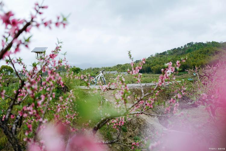 如果冬天去云南旅游哪里比较适合「冬天去云南旅游攻略大全图片」 美食菜谱 如果冬天去云南旅游哪里比较适合「冬天去云南旅游攻略大全图片」 如果冬天去云南旅游哪里比较适合「冬天去云南旅游攻略大全图片」 美食菜谱