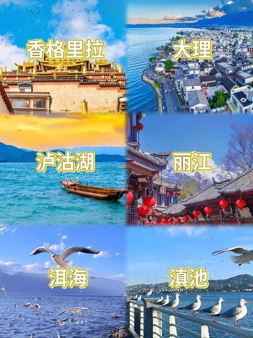 2月去云南适合吗,适合去哪几个景点「二月初云南旅游攻略图片」 教育法律 2月去云南适合吗,适合去哪几个景点「二月初云南旅游攻略图片」 2月去云南适合吗,适合去哪几个景点「二月初云南旅游攻略图片」 教育法律