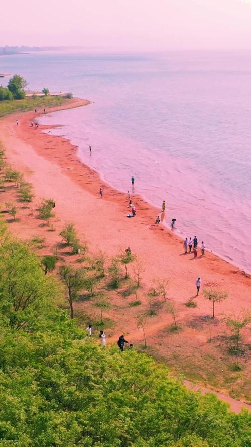 抚仙湖旅游攻略必去景点推荐「云南粉色的海」 教育法律 抚仙湖旅游攻略必去景点推荐「云南粉色的海」 抚仙湖旅游攻略必去景点推荐「云南粉色的海」 教育法律