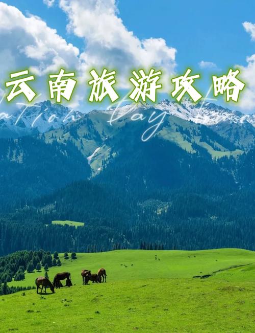 在广州去云南旅行要多少钱「穷游攻略广州去云南旅游」 手机电脑 在广州去云南旅行要多少钱「穷游攻略广州去云南旅游」 在广州去云南旅行要多少钱「穷游攻略广州去云南旅游」 手机电脑
