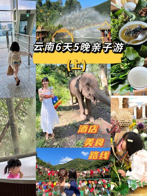 昆明亲子游十大排名「云南旅游小齐」 健康母婴 昆明亲子游十大排名「云南旅游小齐」 昆明亲子游十大排名「云南旅游小齐」 健康母婴