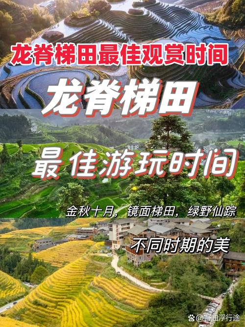 三月三云南龙阳梯田独自游,有结伴的吗「云南结伴自由行」 时尚穿搭 三月三云南龙阳梯田独自游,有结伴的吗「云南结伴自由行」 三月三云南龙阳梯田独自游,有结伴的吗「云南结伴自由行」 时尚穿搭