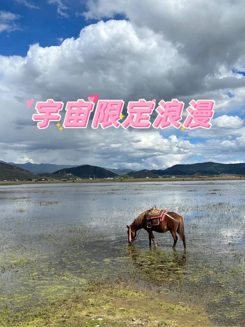 我和妻子一齐想明年3月份自驾去云南。天津出发三十天左右,具体线路和值得去哪儿「一家人到云南旅游攻略图」 健康母婴 我和妻子一齐想明年3月份自驾去云南。天津出发三十天左右,具体线路和值得去哪儿「一家人到云南旅游攻略图」 我和妻子一齐想明年3月份自驾去云南。天津出发三十天左右,具体线路和值得去哪儿「一家人到云南旅游攻略图」 健康母婴