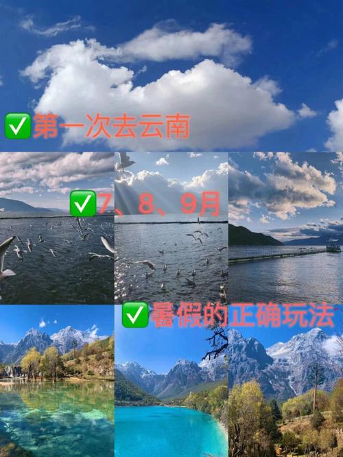 过年去海南好,还是云南好?选择跟团游好,还是自由行好呢,对此你有哪些好建议「二月云南旅游」 汽车常识 过年去海南好,还是云南好?选择跟团游好,还是自由行好呢,对此你有哪些好建议「二月云南旅游」 过年去海南好,还是云南好?选择跟团游好,还是自由行好呢,对此你有哪些好建议「二月云南旅游」 汽车常识