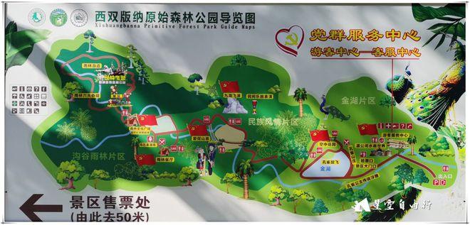 云南原始森林面积「云南旅游攻略森林公园路线」 手机电脑 云南原始森林面积「云南旅游攻略森林公园路线」 云南原始森林面积「云南旅游攻略森林公园路线」 手机电脑