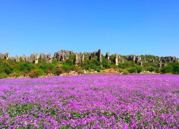 带娃在昆明过春节,有哪些地方又好玩又便宜「云南旅游攻略和景点推荐」 美食菜谱 带娃在昆明过春节,有哪些地方又好玩又便宜「云南旅游攻略和景点推荐」 带娃在昆明过春节,有哪些地方又好玩又便宜「云南旅游攻略和景点推荐」 美食菜谱