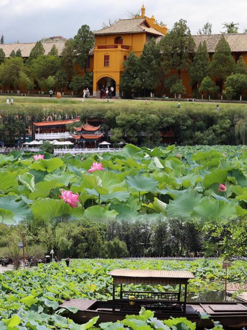 云南夏天蚊子多吗「夏季云南旅游必去的景点」 手机电脑 云南夏天蚊子多吗「夏季云南旅游必去的景点」 云南夏天蚊子多吗「夏季云南旅游必去的景点」 手机电脑