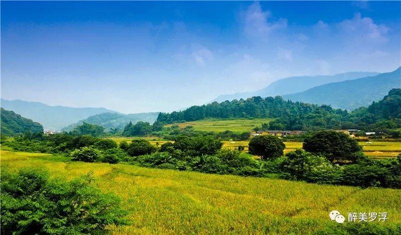 长宁对口帮扶云南三县,藏于深闺的美景美味如何走出大山「长宁县到云南旅游攻略路线」 手机电脑 长宁对口帮扶云南三县,藏于深闺的美景美味如何走出大山「长宁县到云南旅游攻略路线」 长宁对口帮扶云南三县,藏于深闺的美景美味如何走出大山「长宁县到云南旅游攻略路线」 手机电脑