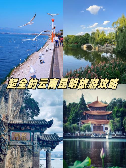 云南旅游哪些景点必去,有详细的攻略和建议吗「去云南旅游攻略景点大全」 教育法律 云南旅游哪些景点必去,有详细的攻略和建议吗「去云南旅游攻略景点大全」 云南旅游哪些景点必去,有详细的攻略和建议吗「去云南旅游攻略景点大全」 教育法律