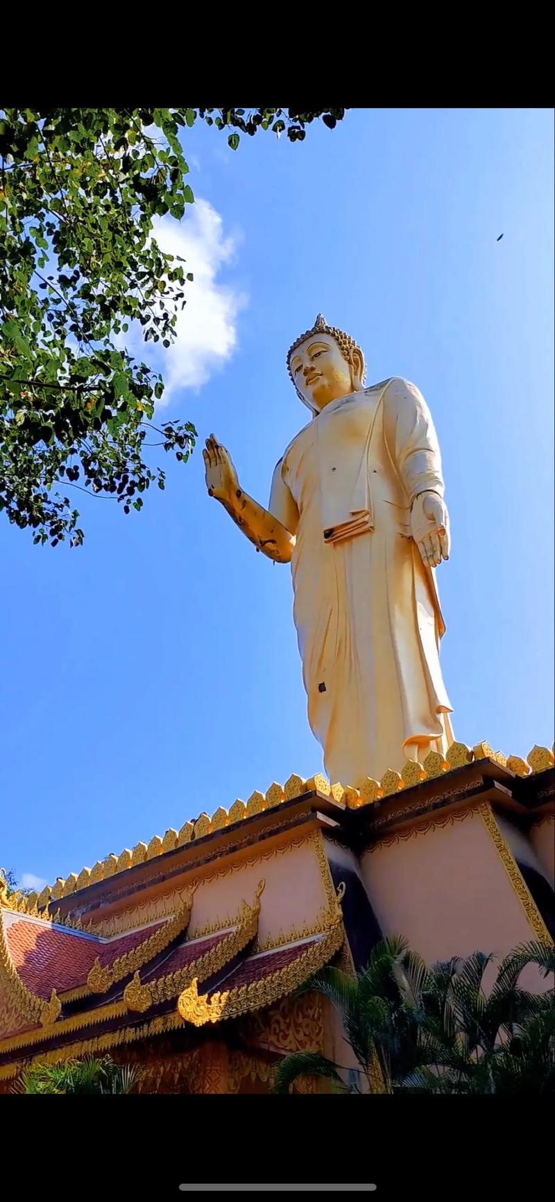 勐泐大佛寺营业时间「云南旅游开光攻略图片大全」 汽车常识 勐泐大佛寺营业时间「云南旅游开光攻略图片大全」 勐泐大佛寺营业时间「云南旅游开光攻略图片大全」 汽车常识