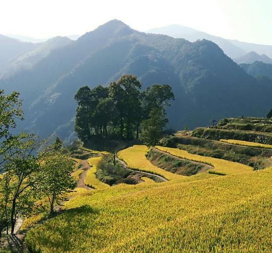 云南旅游十日九晚还是九天8晚好「九月九日旅眺」 健康母婴 云南旅游十日九晚还是九天8晚好「九月九日旅眺」 云南旅游十日九晚还是九天8晚好「九月九日旅眺」 健康母婴
