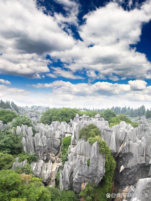 云南的邹姓怎么来的,邹城到云南旅游攻略路线图 手机电脑 云南的邹姓怎么来的,邹城到云南旅游攻略路线图 云南的邹姓怎么来的,邹城到云南旅游攻略路线图 手机电脑