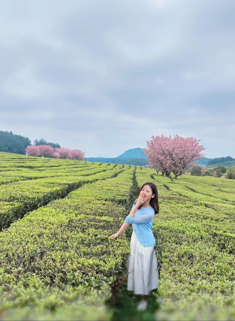 一个人的旅行,怎样拍好自拍照,云南旅游攻略7天一个人多少钱 汽车常识 一个人的旅行,怎样拍好自拍照,云南旅游攻略7天一个人多少钱 一个人的旅行,怎样拍好自拍照,云南旅游攻略7天一个人多少钱 汽车常识